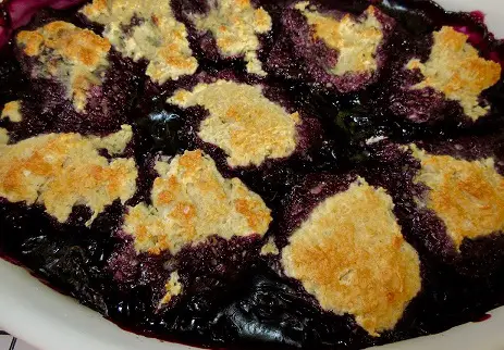 Marthas Blueberry Dumplings Recipe