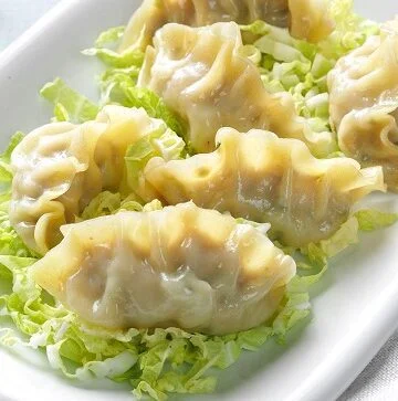 Steamed Turkey Dumplings Recipe