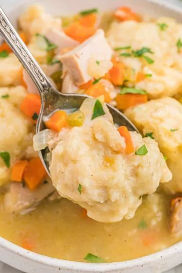 Turkey Dumplings Recipe